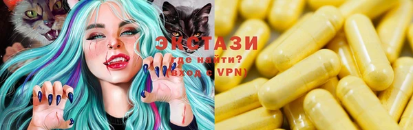 дмт Инта