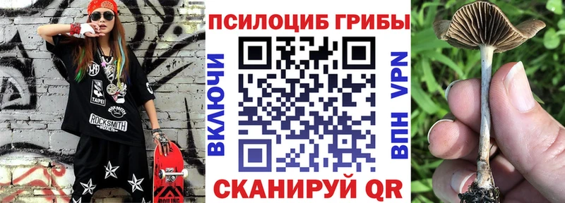 дарнет шоп  Заречный  Галлюциногенные грибы MAGIC MUSHROOMS 
