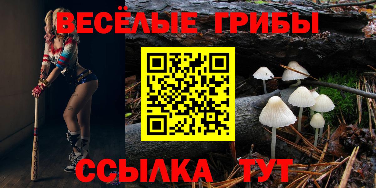 Галлюциногенные грибы мицелий Заречный